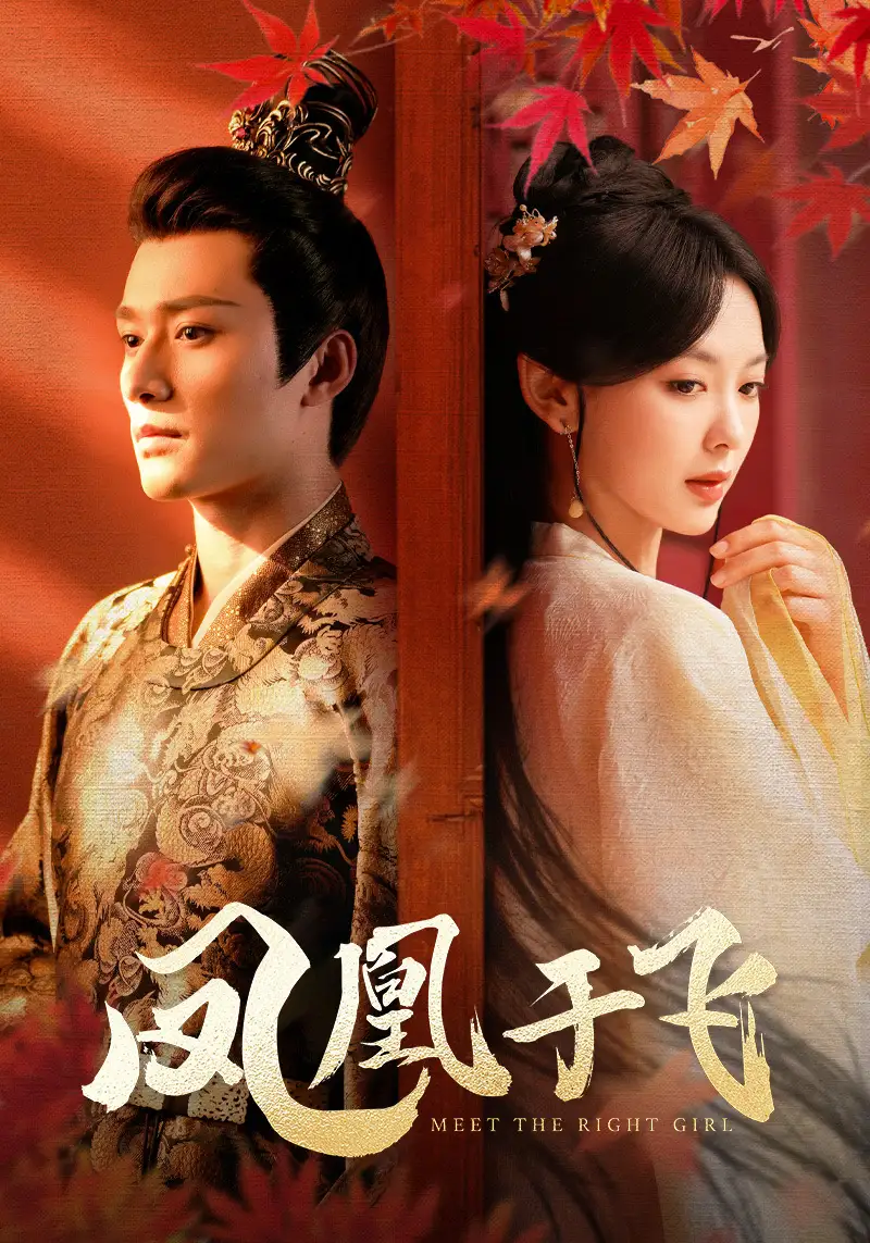 《凤凰于飞（79集）》短剧全集免费在线观看