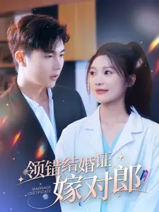 《领错结婚证嫁对郎（100集）彭瑶》短剧全集免费在线观看