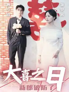 《大喜之日新郎破防了(31集)》短剧全集免费在线观看