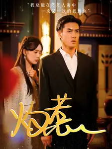 《灼惹(44集)》短剧全集免费在线观看