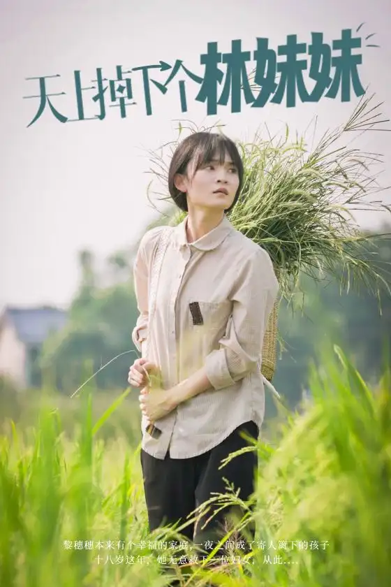 《天上掉下个林妹妹(81集)》短剧全集免费在线观看