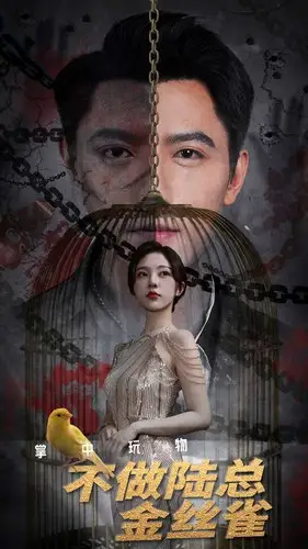 《掌中玩物不做陆总金丝雀（90集）朱茉颜》短剧全集免费在线观看