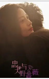 《忠犬与野蔷薇(67集)》短剧全集免费在线观看