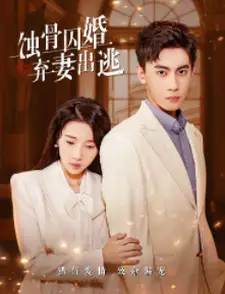 《蚀骨囚婚,弃妻出逃(104集)》短剧全集免费在线观看