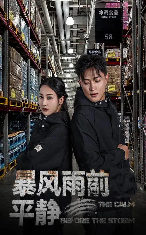 《暴风雨前的平静(30集)》短剧全集免费在线观看