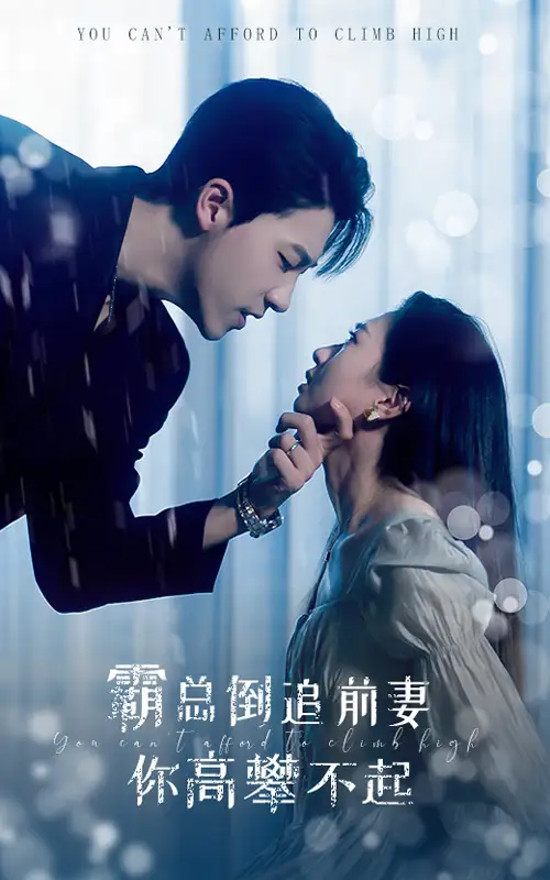 《霸总倒追前妻你高攀不起(81集)鲍芝悦》短剧全集免费在线观看