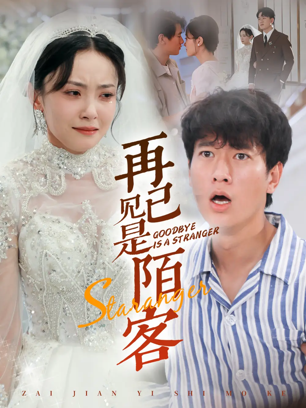 《再见已是陌客(55集)张子安》短剧全集免费在线观看