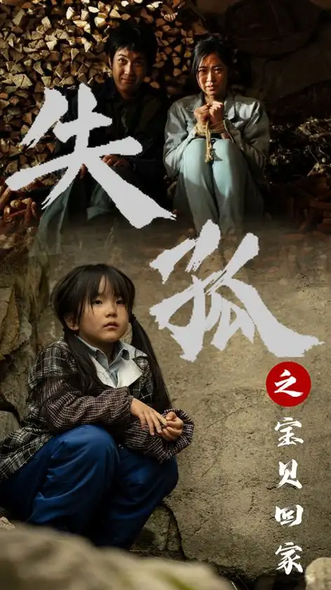 《失孤之宝贝回家(71集)》短剧全集免费在线观看