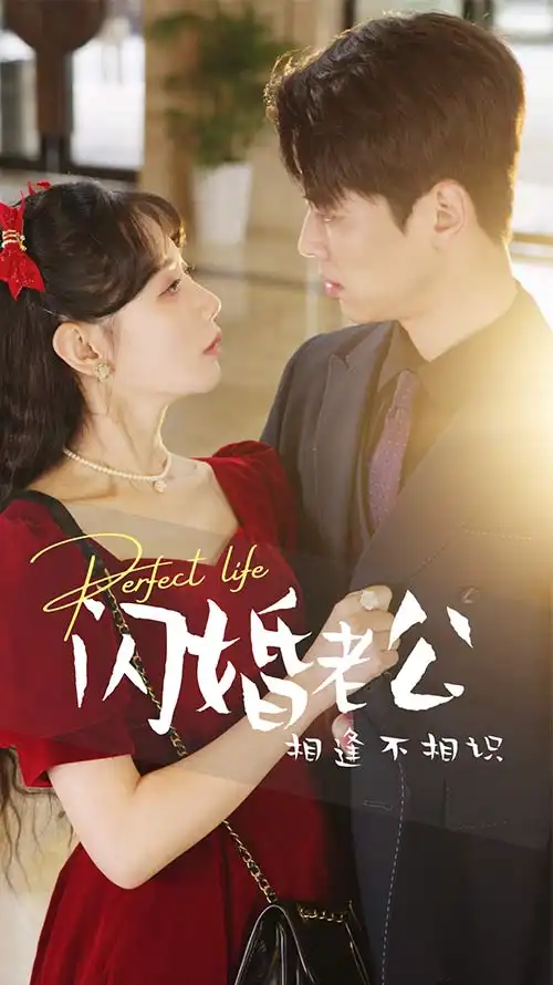 《闪婚老公相逢不相识（90集）》短剧全集免费在线观看