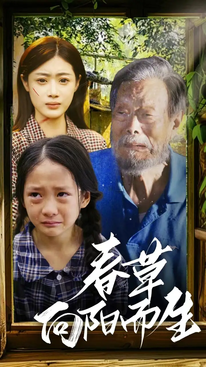 《春草向阳而生(53集)》短剧全集免费在线观看