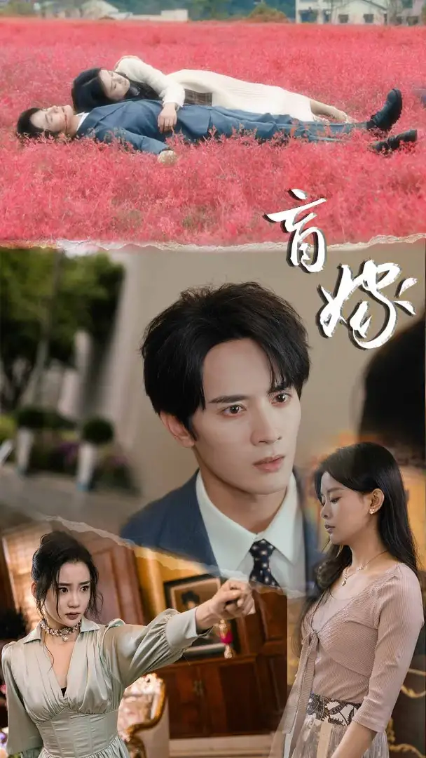 《盲嫁(74集)陈冠峄&陆姝含》短剧全集免费在线观看