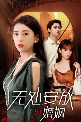 《无处安放的婚姻(41集)王一晴》短剧全集免费在线观看