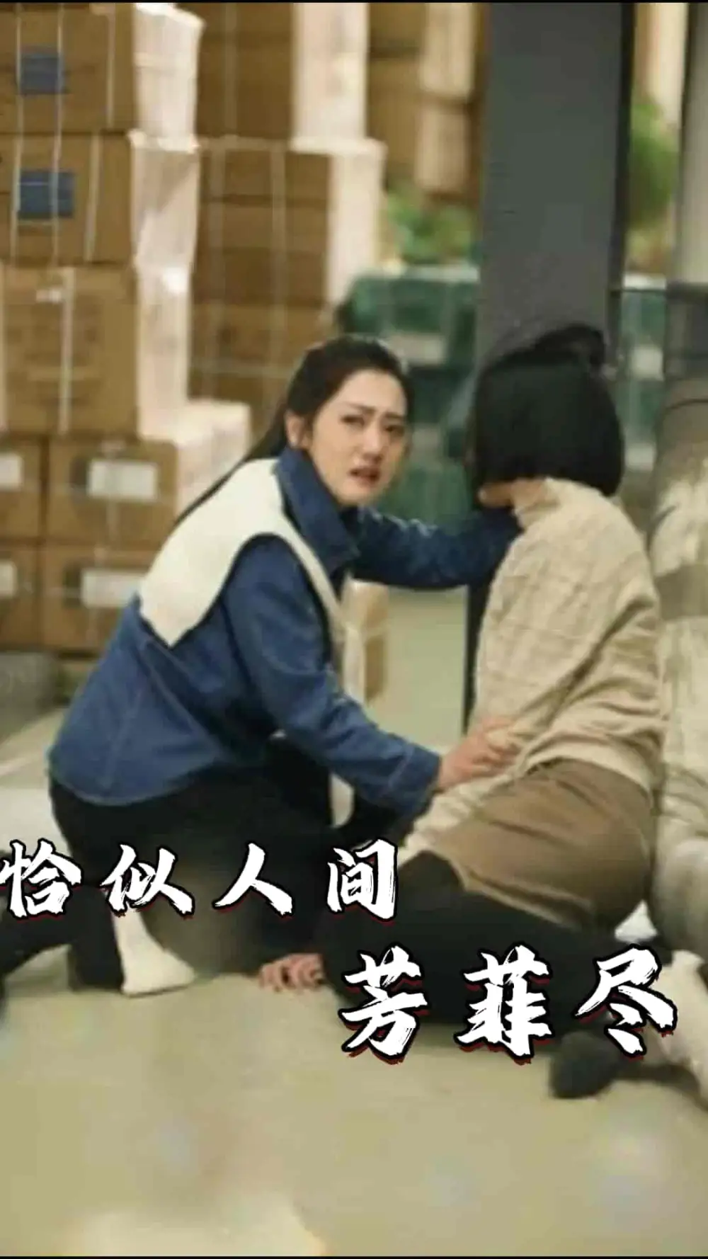 《恰似人间芳菲尽（68集）》短剧全集免费在线观看