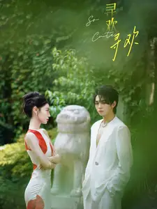 《寻欢(52集)》短剧全集免费在线观看