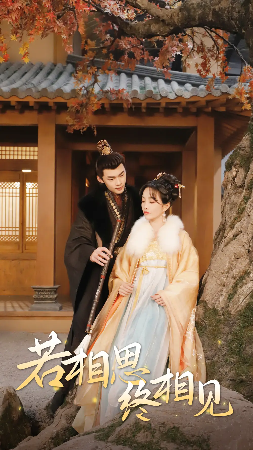 《若相思，终相见&侯爷的双世小悍妻（85集）》短剧全集免费在线观看