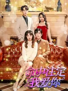 《命中注定我爱你(99集)》短剧全集免费在线观看