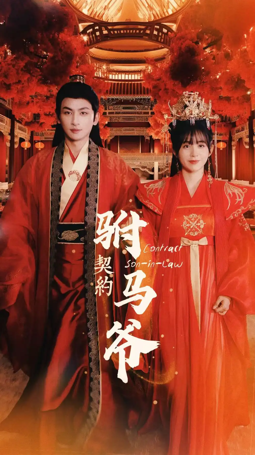 《契约驸马爷（74集）》短剧全集免费在线观看