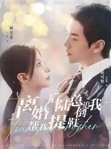 《离婚后陆总倒追我帮我提鞋(100集)丁晓》短剧全集免费在线观看