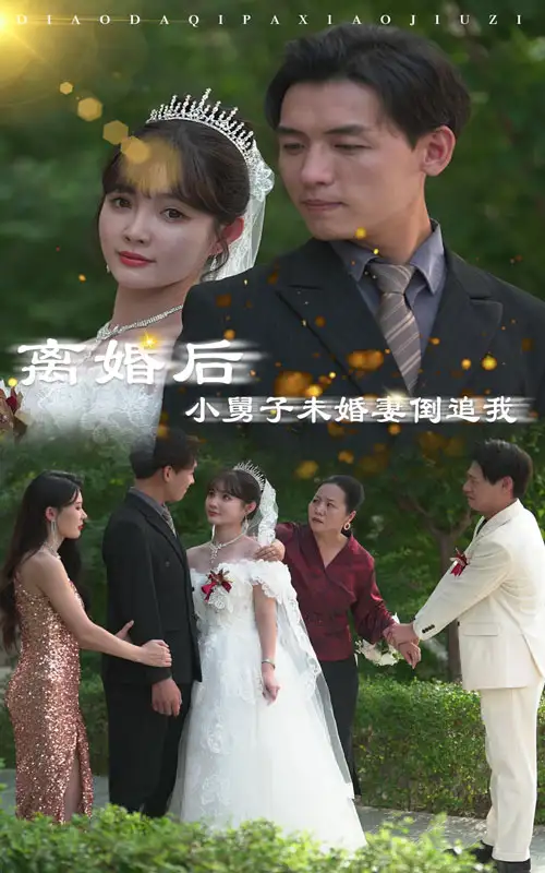 《离婚后，小舅子未婚妻倒追我（30集）》短剧全集免费在线观看
