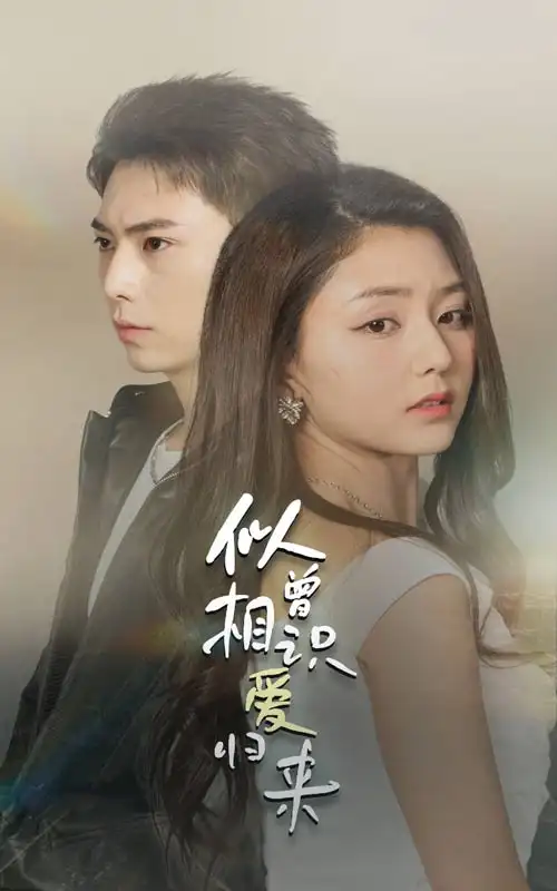 《似曾相识爱归来（77集）》短剧全集免费在线观看