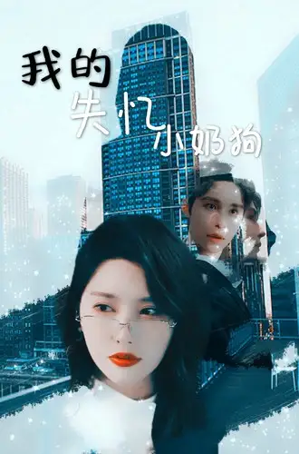 《我的失忆小奶狗(64集)秦天爱&柯俊》短剧全集免费在线观看