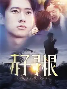 《赤子寻根（100集）》短剧全集免费在线观看