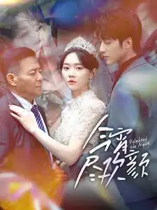 《今宵尽欢颜(99集)》短剧全集免费在线观看