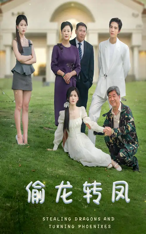 《偷龙转凤(80集)》短剧全集免费在线观看