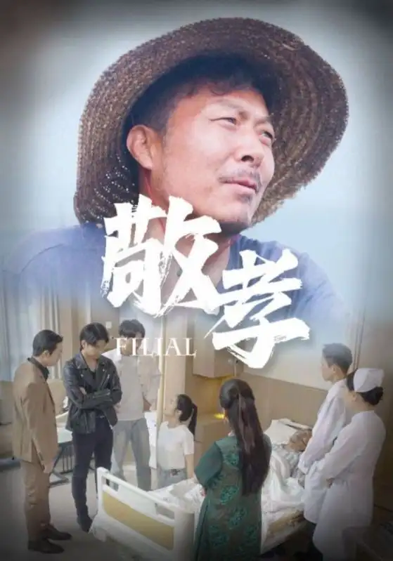 《敬孝(61集)王燕》短剧全集免费在线观看