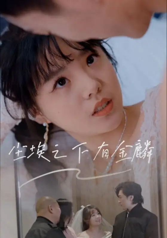 《尘埃之下有金鳞(60集)》短剧全集免费在线观看