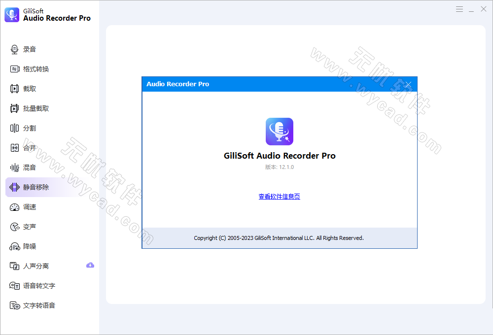 音频录制工具 | GiliSoft Audio Recorder Pro v13.5.0 中文绿色版