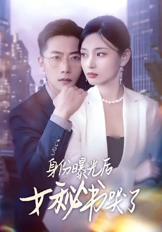 《身份曝光后女秘书哭了(31集)刘雪君&张家川》短剧全集免费在线观看
