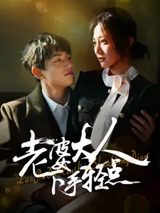 《老婆大人下手轻点(30集)》短剧全集免费在线观看