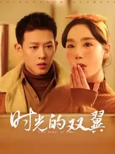 《时光的双翼(94集)柴昊辰&张诗媛》短剧全集免费在线观看