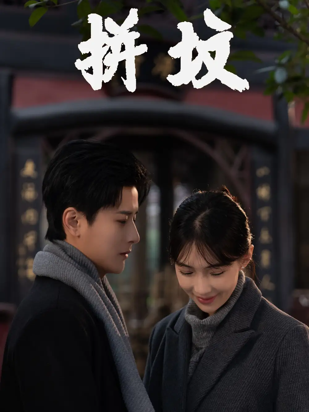 《拼坟(62集)》短剧全集免费在线观看