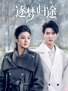 《逐梦归途(60集)孙博文&唐雪晴》短剧全集免费在线观看