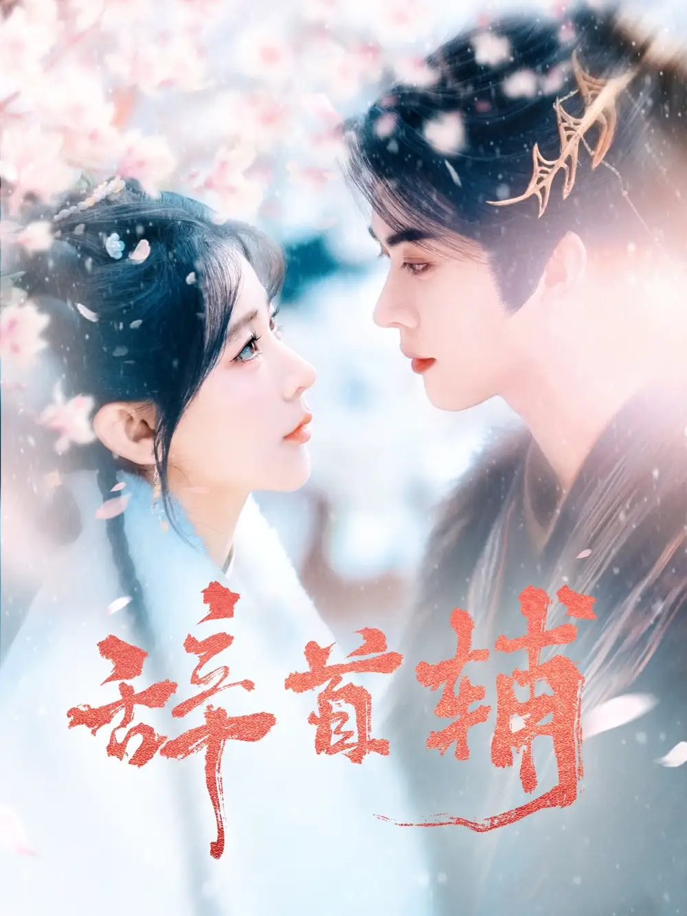 《辞首辅(80集)李枫&杨弋墨》短剧全集免费在线观看