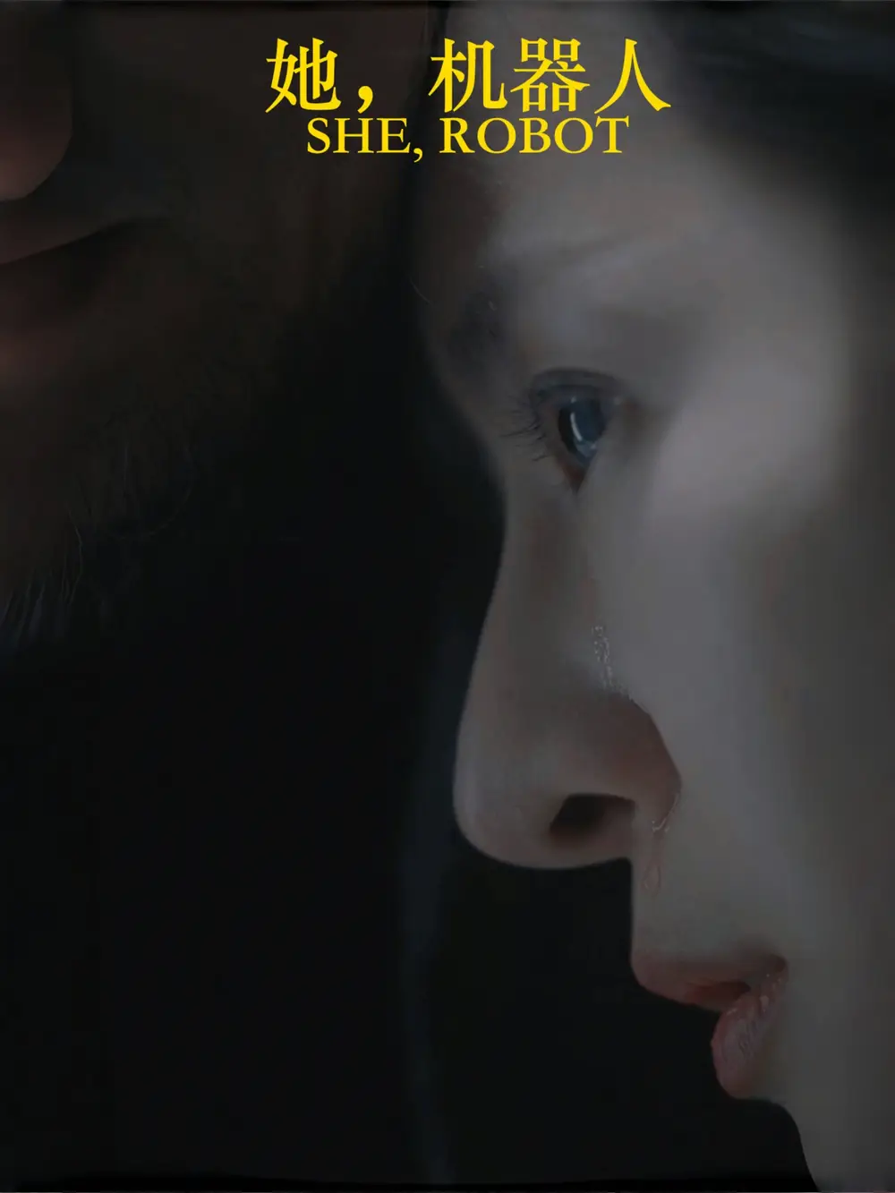 《她机器人(23集)》短剧全集免费在线观看
