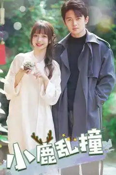 《小鹿乱撞(40集)》短剧全集免费在线观看