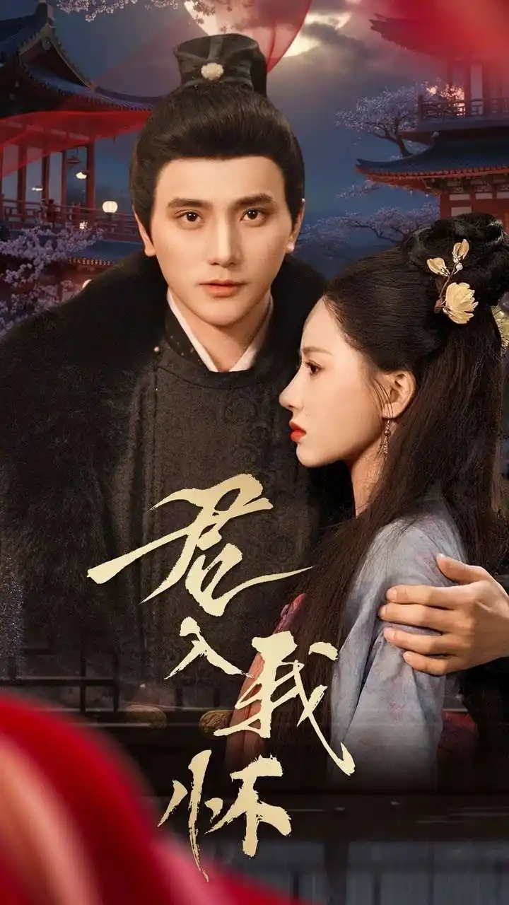 《君入我怀(60集)》短剧全集免费在线观看