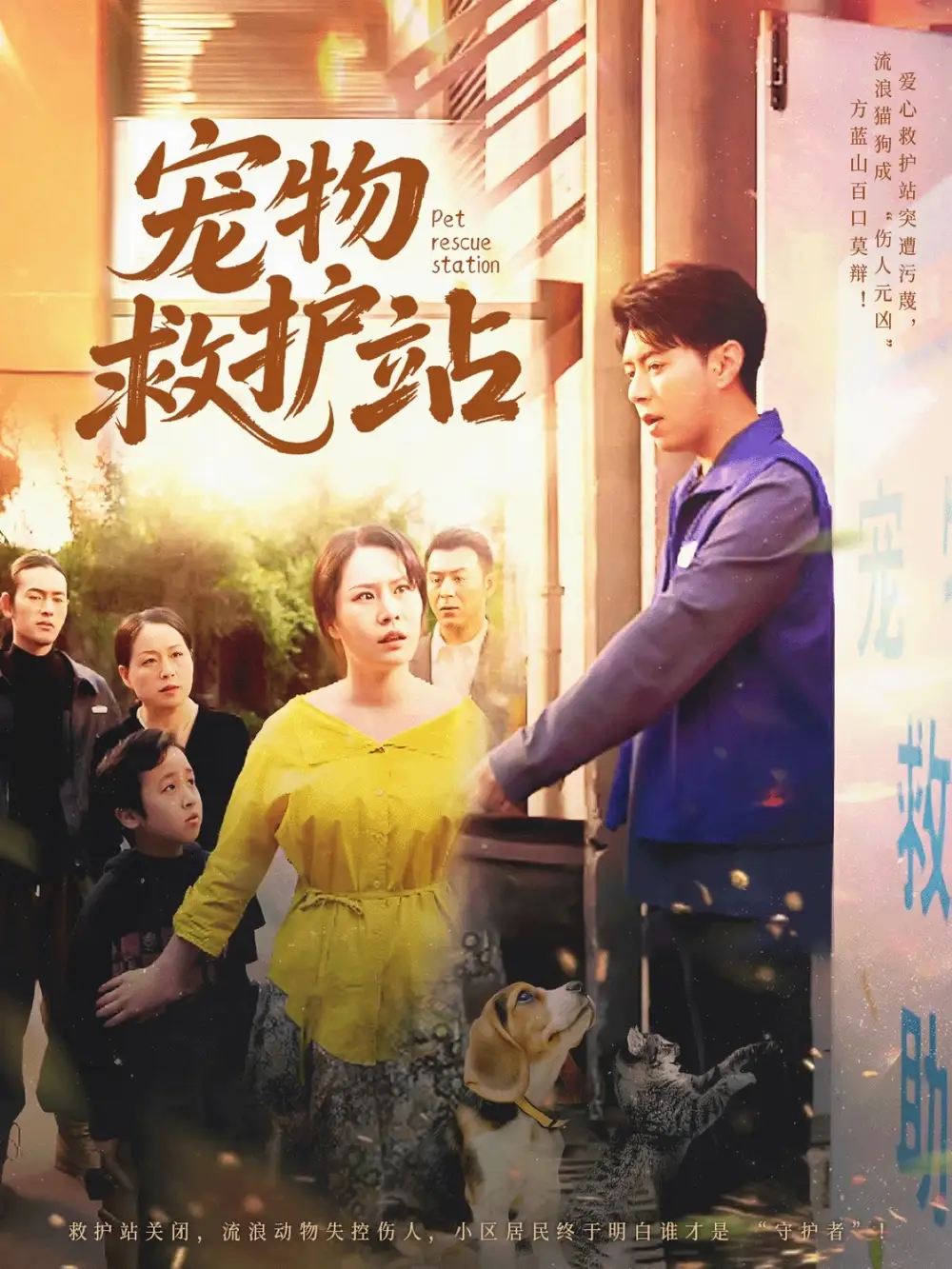 《宠物救护站(30集)魏晓慧&尹竹》短剧全集免费在线观看