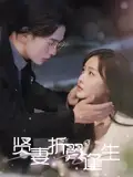 《贤妻折翼逢生&雨落灯残梦 史宣洪&尚妙怡》短剧全集免费在线观看
