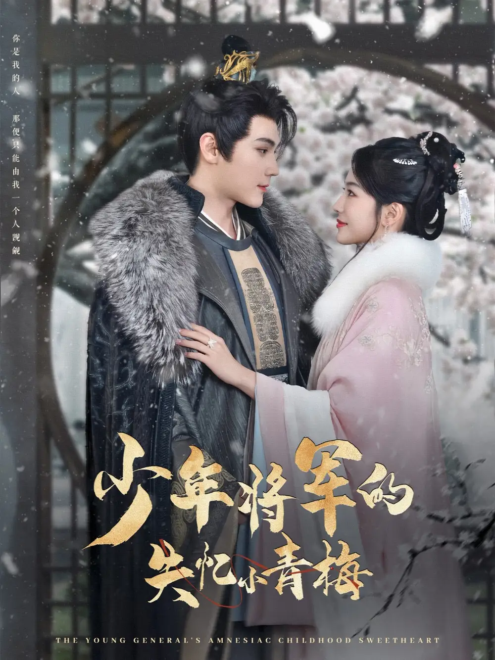 《少年将军的失忆小青梅(100集)》短剧全集免费在线观看
