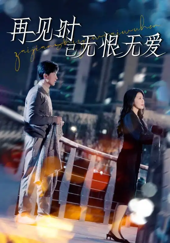 《再见时已无恨无爱(62集)王鹏&丁海霞》短剧全集免费在线观看
