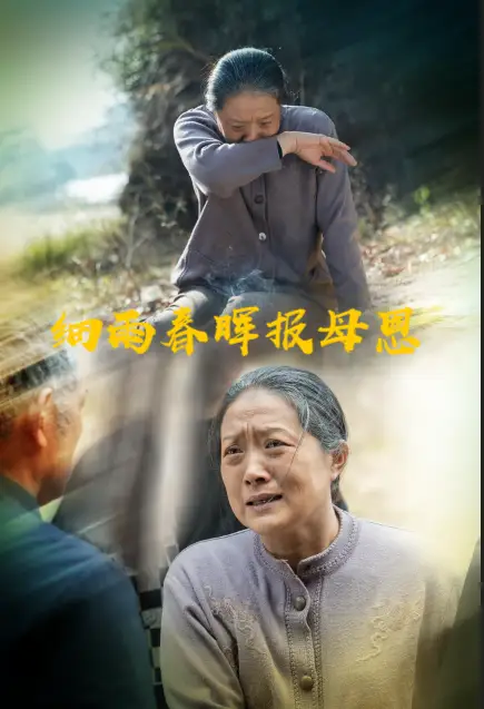 《细雨春晖报母恩(30集)》短剧全集免费在线观看