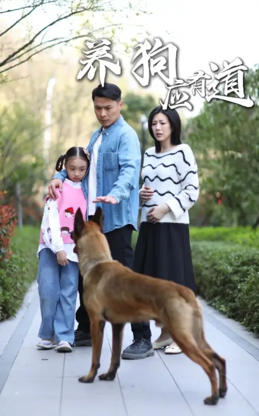 《养狗应有道(60集)》短剧全集免费在线观看