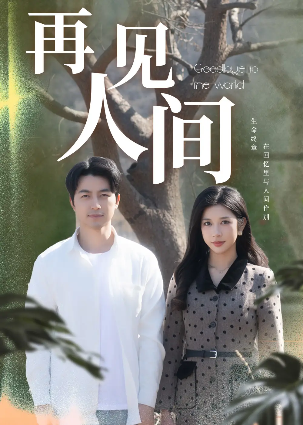 《再见人间(30集)林琦婷》短剧全集免费在线观看