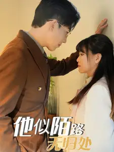 《他似陌路无归处(30集)赵宏伟&胡雪艺》短剧全集免费在线观看