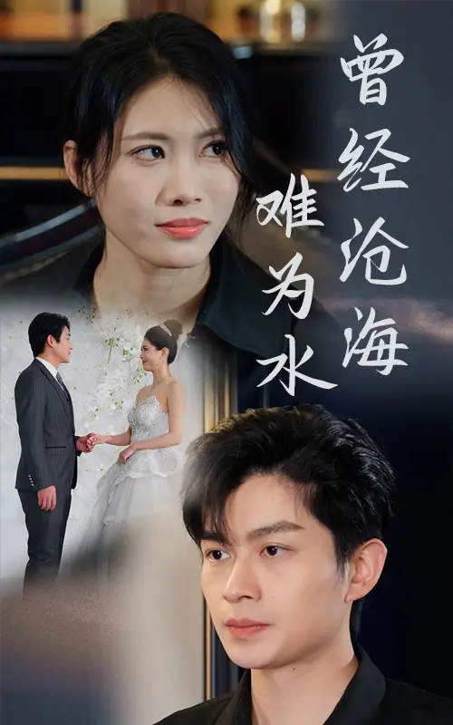 《曾经沧海难为水(30集)王漫漫》短剧全集免费在线观看