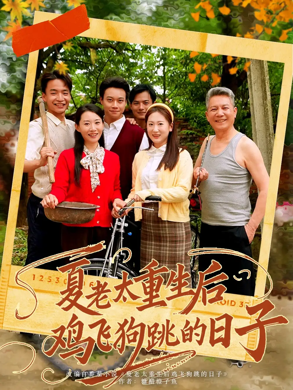 《夏老太重生后鸡飞狗跳的日子(70集)》短剧全集免费在线观看